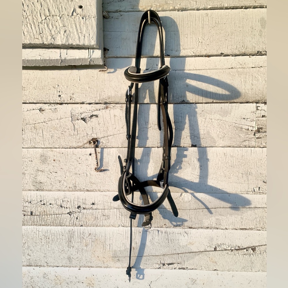 Camelot cob size dressage bridle, black with white piping